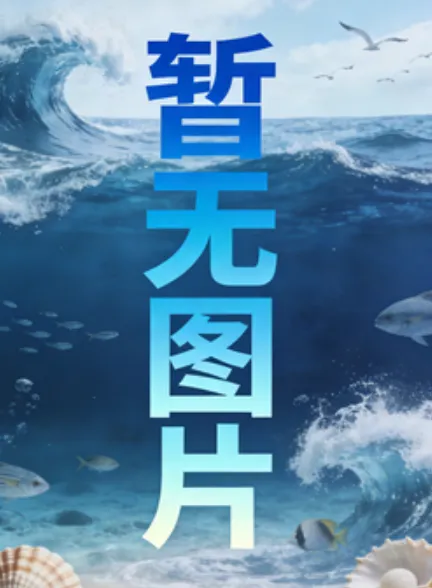 NBA 步行者vs奇才20250213