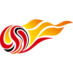 《中超 山东泰山vs深圳新鹏城20250411》全集高清完整版在线观看与剧情解析