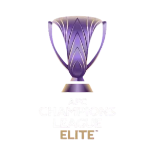 亚冠精英赛 山东泰山vs光州20250211