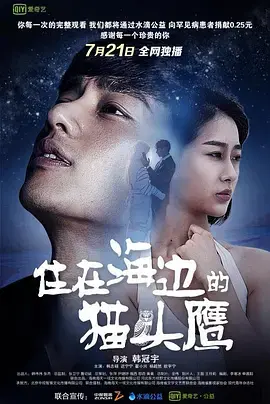 《住在海边的猫头鹰》全集高清完整版在线观看与剧情解析