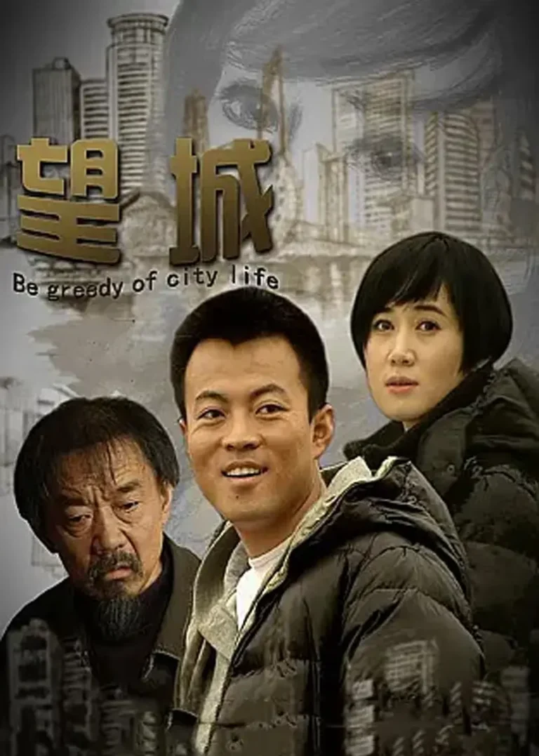 《望城2011》全集高清完整版在线观看与剧情解析