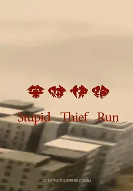 《笨贼快跑》全集高清完整版在线观看与剧情解析