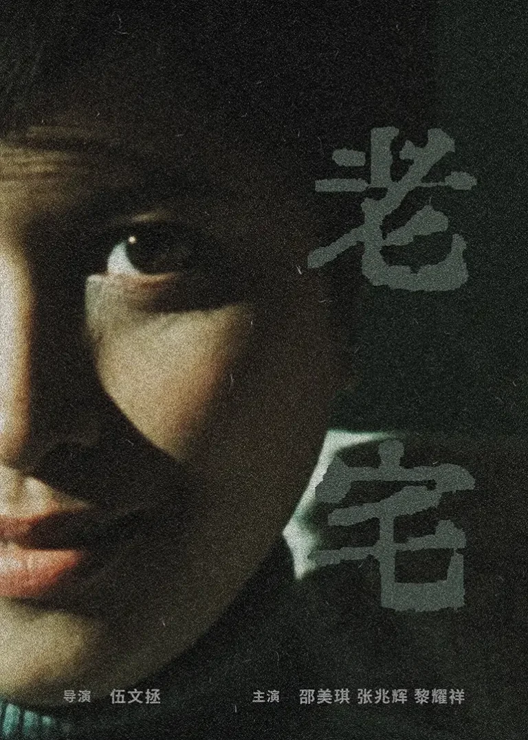 《老宅2005》全集高清完整版在线观看与剧情解析