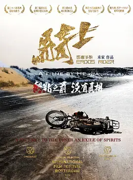 《鄂尔多斯骑士》全集高清完整版在线观看与剧情解析