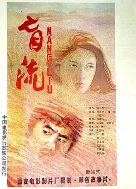盲流1987