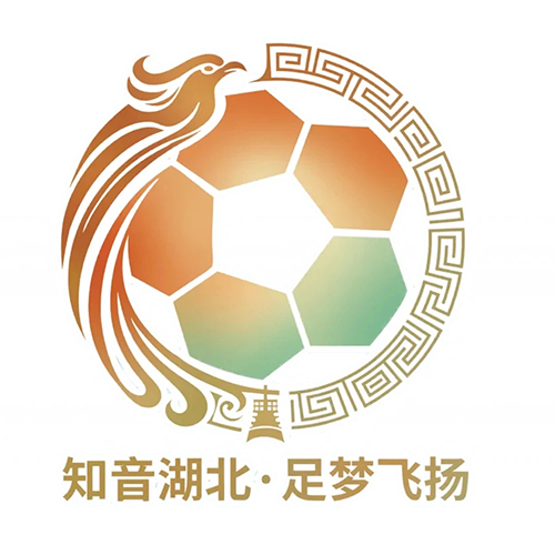 湖北省城市足球联赛 潜江龙虾队VS武汉华工科技队20260531